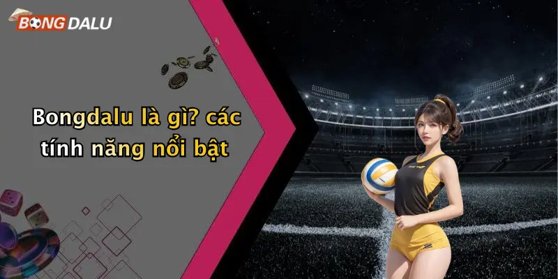 Bongdalu là gì? các tính năng nổi bật