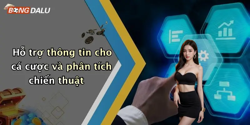 Hỗ trợ thông tin cho cá cược và phân tích chiến thuật