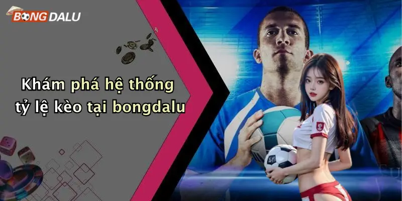 Khám phá hệ thống tỷ lệ kèo tại bongdalu