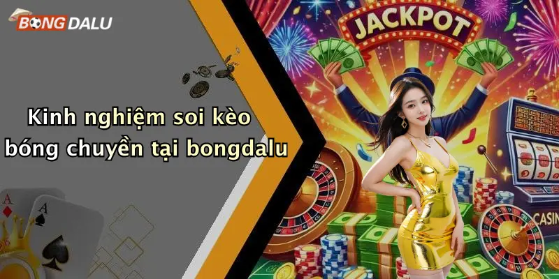 Kinh nghiệm soi kèo bóng chuyền tại bongdalu