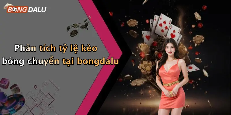 Phân tích tỷ lệ kèo bóng chuyền tại bongdalu