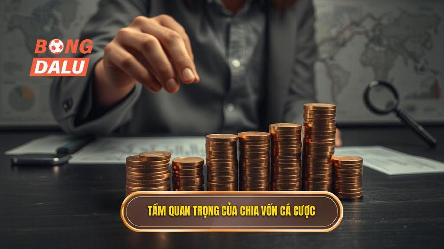 1. Tầm quan trọng của chia vốn cá cược
