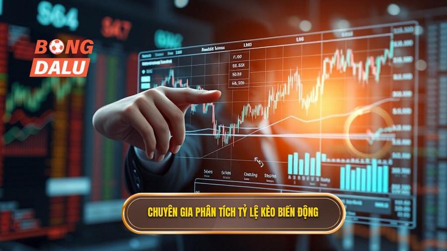 Tại sao tỷ lệ kèo biến động? Phân tích từ góc độ chuyên gia