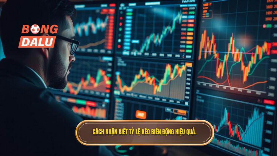 Cách nhận biết và theo dõi tỷ lệ kèo biến động hiệu quả