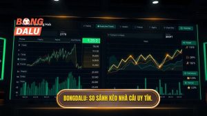 So sánh tỷ lệ kèo các nhà cái uy tín: Chìa khóa vàng để chiến thắng nhà cái