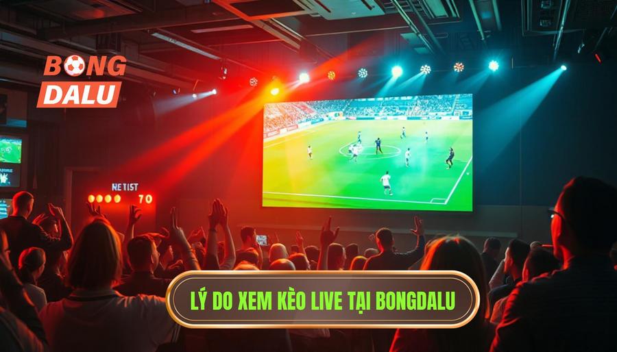 Tại sao nên theo dõi kèo live bóng đá hôm nay tại BONGDALU?